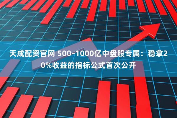 天成配资官网 500–1000亿中盘股专属：稳拿20%收益的指标公式首次公开
