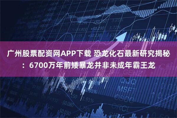 广州股票配资网APP下载 恐龙化石最新研究揭秘：6700万年前矮暴龙并非未成年霸王龙