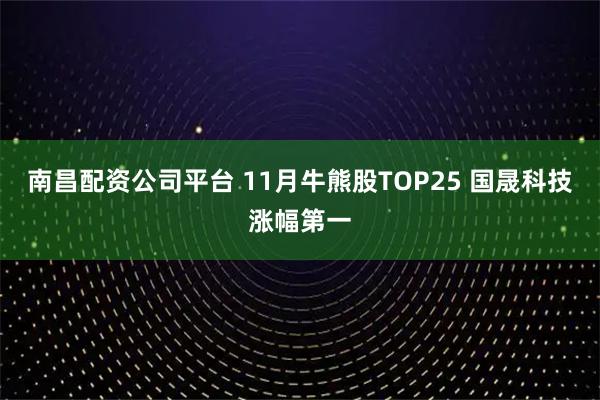 南昌配资公司平台 11月牛熊股TOP25 国晟科技涨幅第一